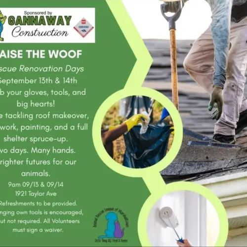 arl-raise-the-woof-rescue-days-2025-jpg