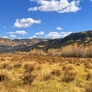 getty_rio-grande-national-forest-01-gty-jt-250918_1758211328108_hpmain_4x3262664