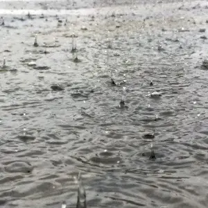 gettyrf_72622_rainpuddle2028129767767