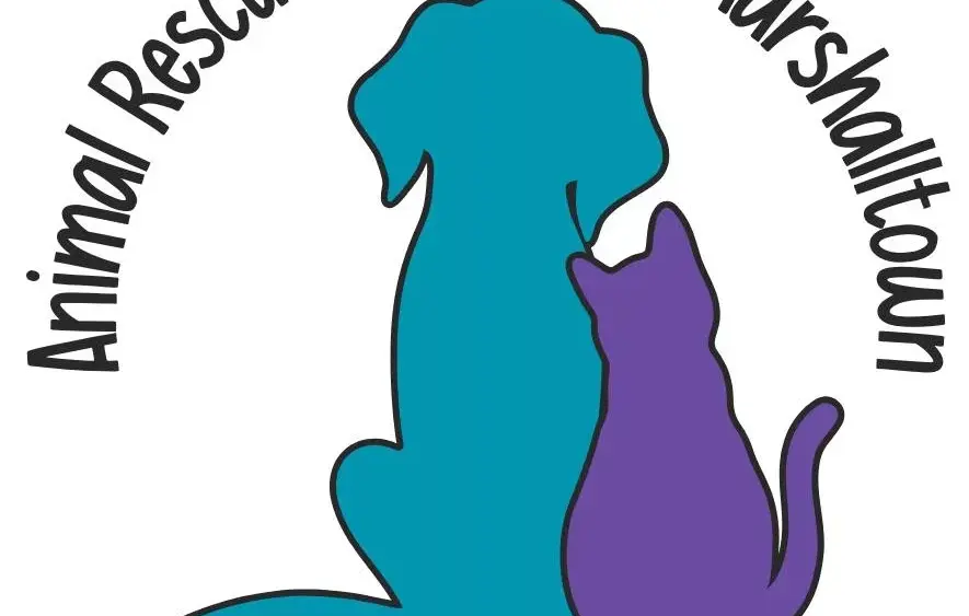 animal-rescue-league-of-mtown-2024-jpg-9