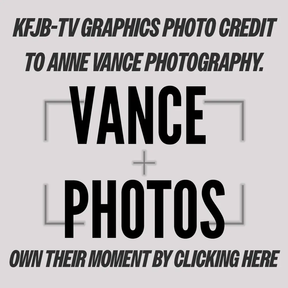 anne-vance-link-image