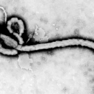 getty_ebola_052126834544
