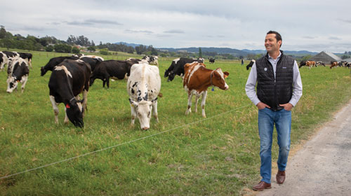 dairydilemma_072019-2
