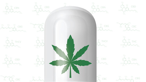 cannabisasmedicine_022019-2