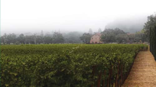 ehlersestate_122018-2