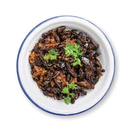 food-insect-fried-crickets-in-iron-bowl-isolated-on-white-background-thai-food-2
