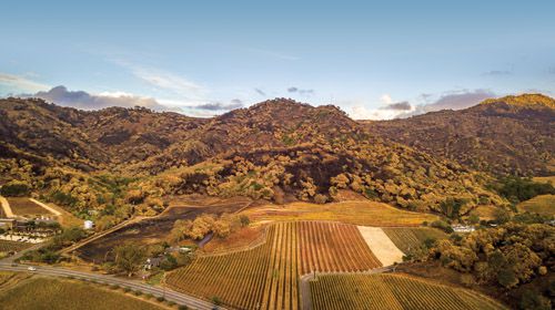 vineyardsasfirebreaks_072018-2