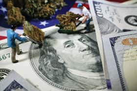 marijuana-men-moving-bud-around-on-money-high-quality-2