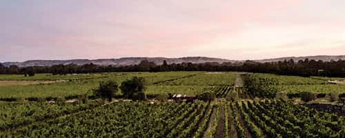 gundlachbundschuwinery_032018-2
