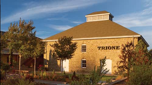 trionevineyardsandwinery_022018-2