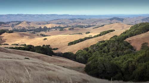 sonoma_122017-2
