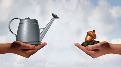 watering-can-investing-4