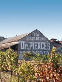 zialenawinery_092017-2