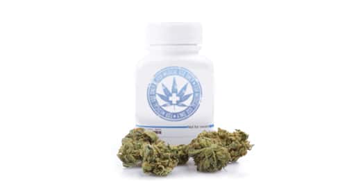 bottle-of-dry-medical-cannabis-isolated-on-white-3
