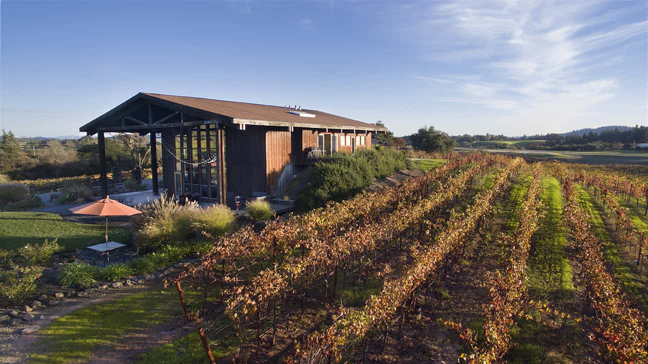 2017bestzinfandelmazzoccowinery_062017-2