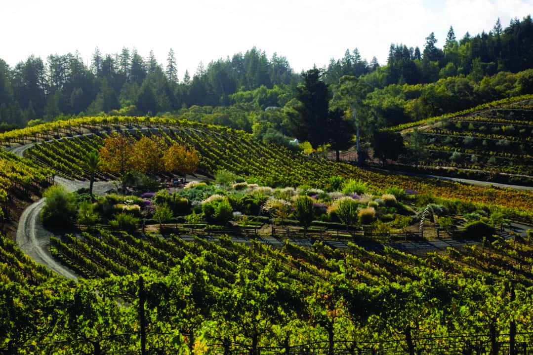 2017bestcabernetsauvignonbenzigerfamilywiner_062017-2