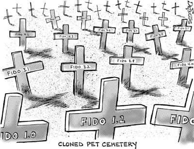 August Cartoon.jpg