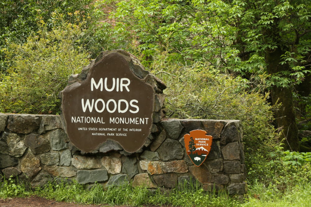 muirwoods
