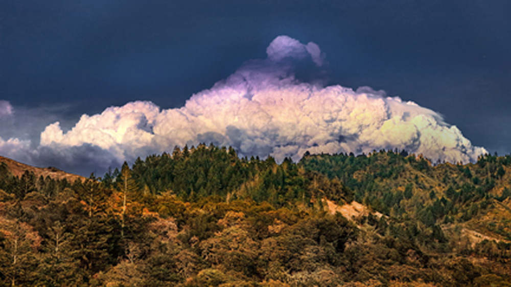 wildfires_smoke