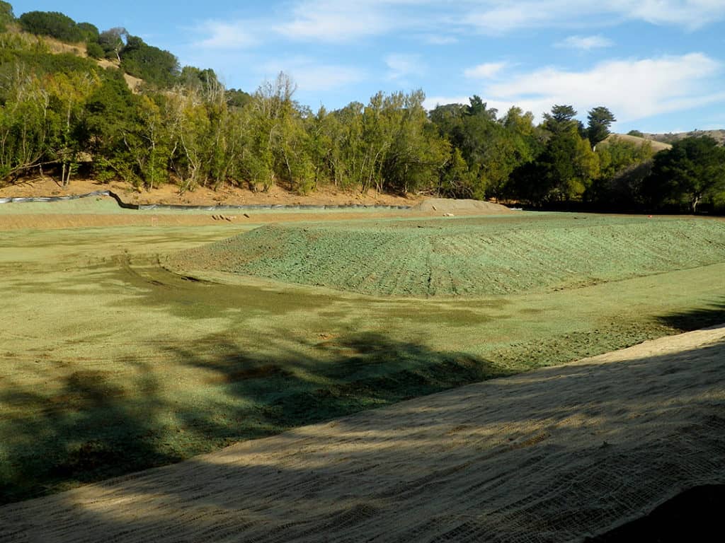 safrr-completed-phase-1-basin-view-2021