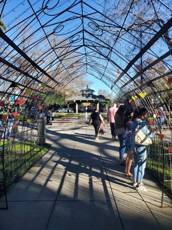 visitors-to-the-love-tunner-in-healdsburg-square-funded-by-creative-sonoma
