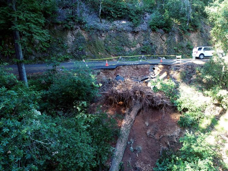 fallen-tree-uprooted-damage-to-fairfax-bolinas-road
