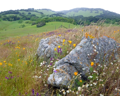 image003-13