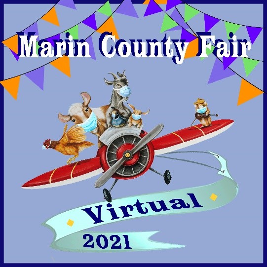 Marin County Fair 2022: So Happy Together!