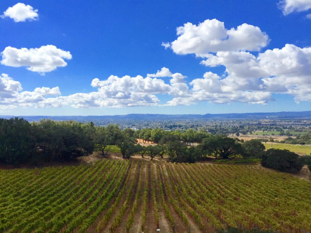 fall-views-vineyard