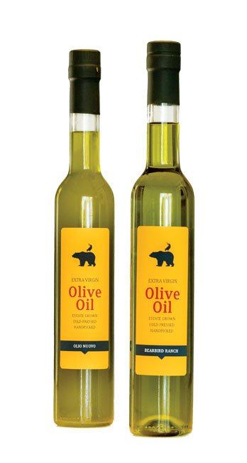 Estate Grown Arbequina Extra Virgin Olive Oil, 1 gallon