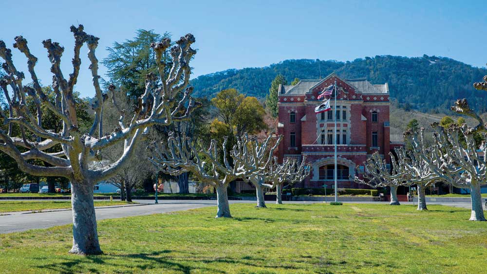 Sonoma Land Trust's has $2.1 million grant to support work on wildlife  corridors