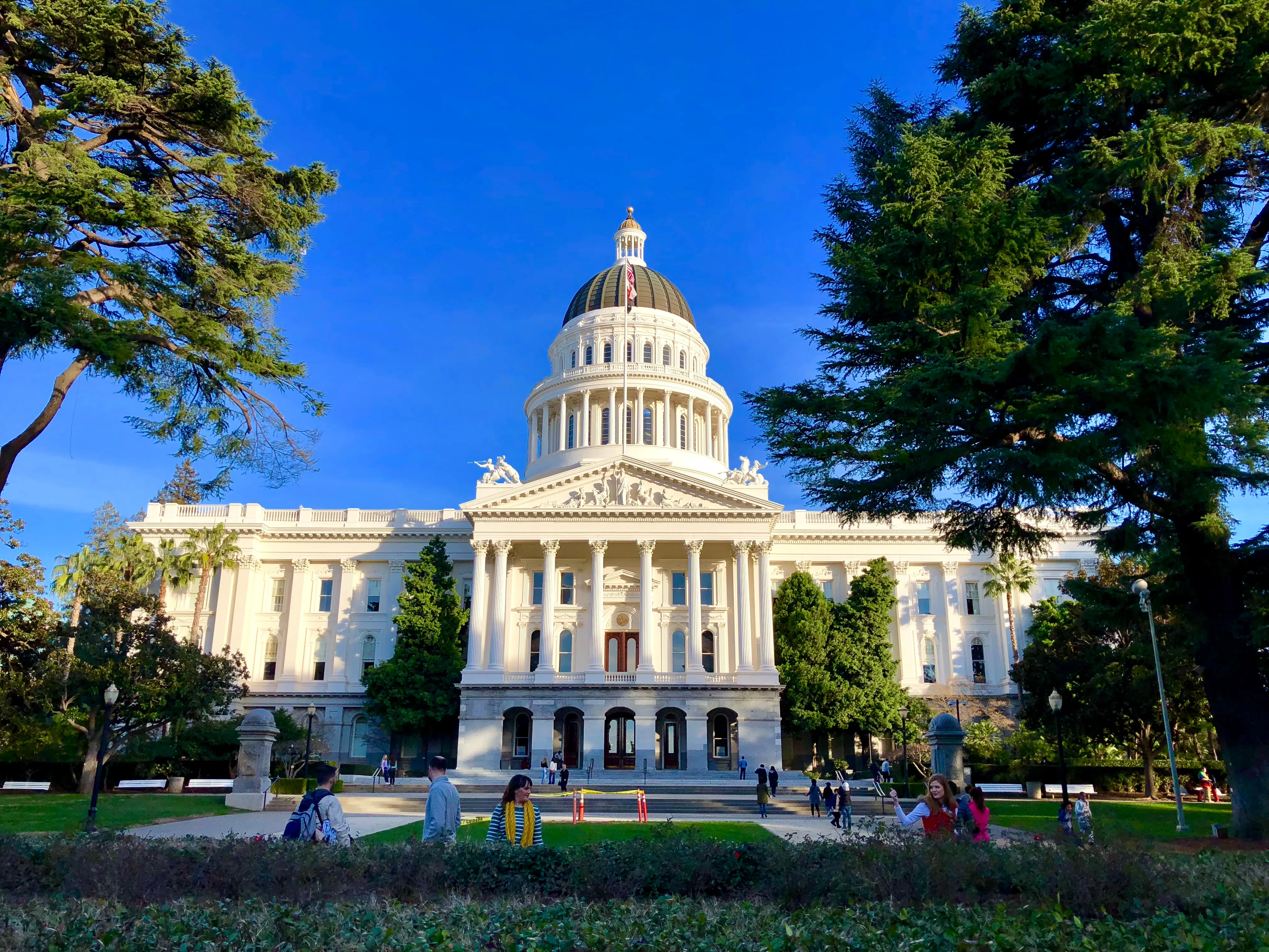 sacramentocausa-jan292018thecaliforniastate