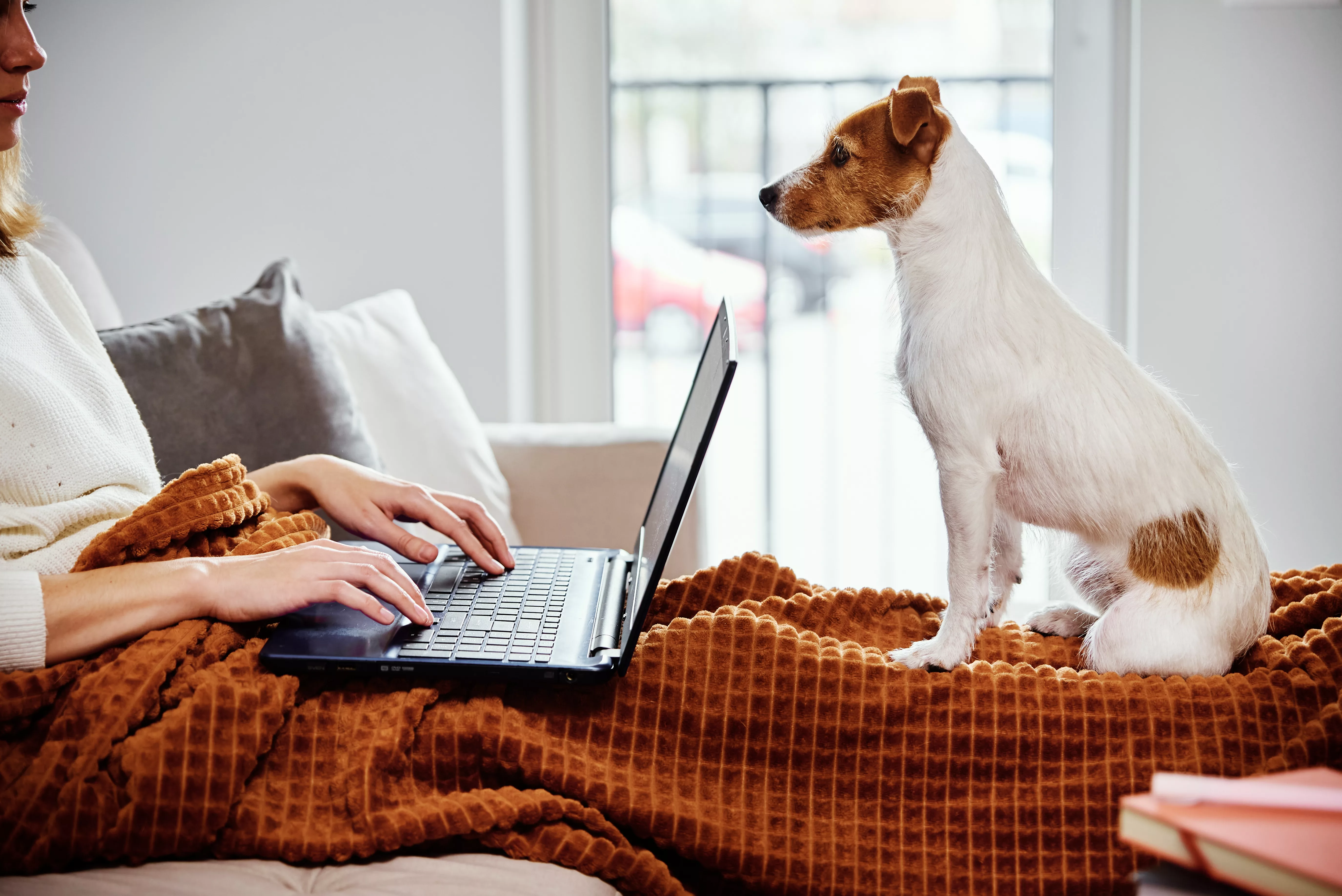 womanlyingoncouchwithdoganduselaptopfor