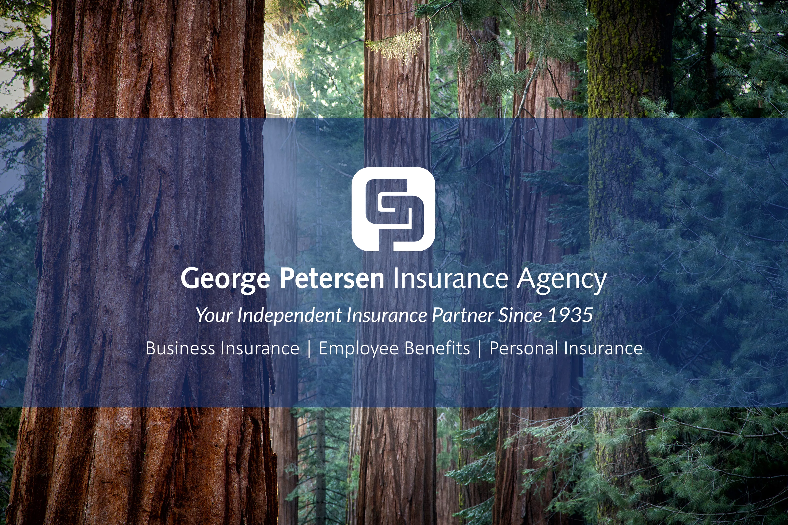 gp-northerncaliforniatrees