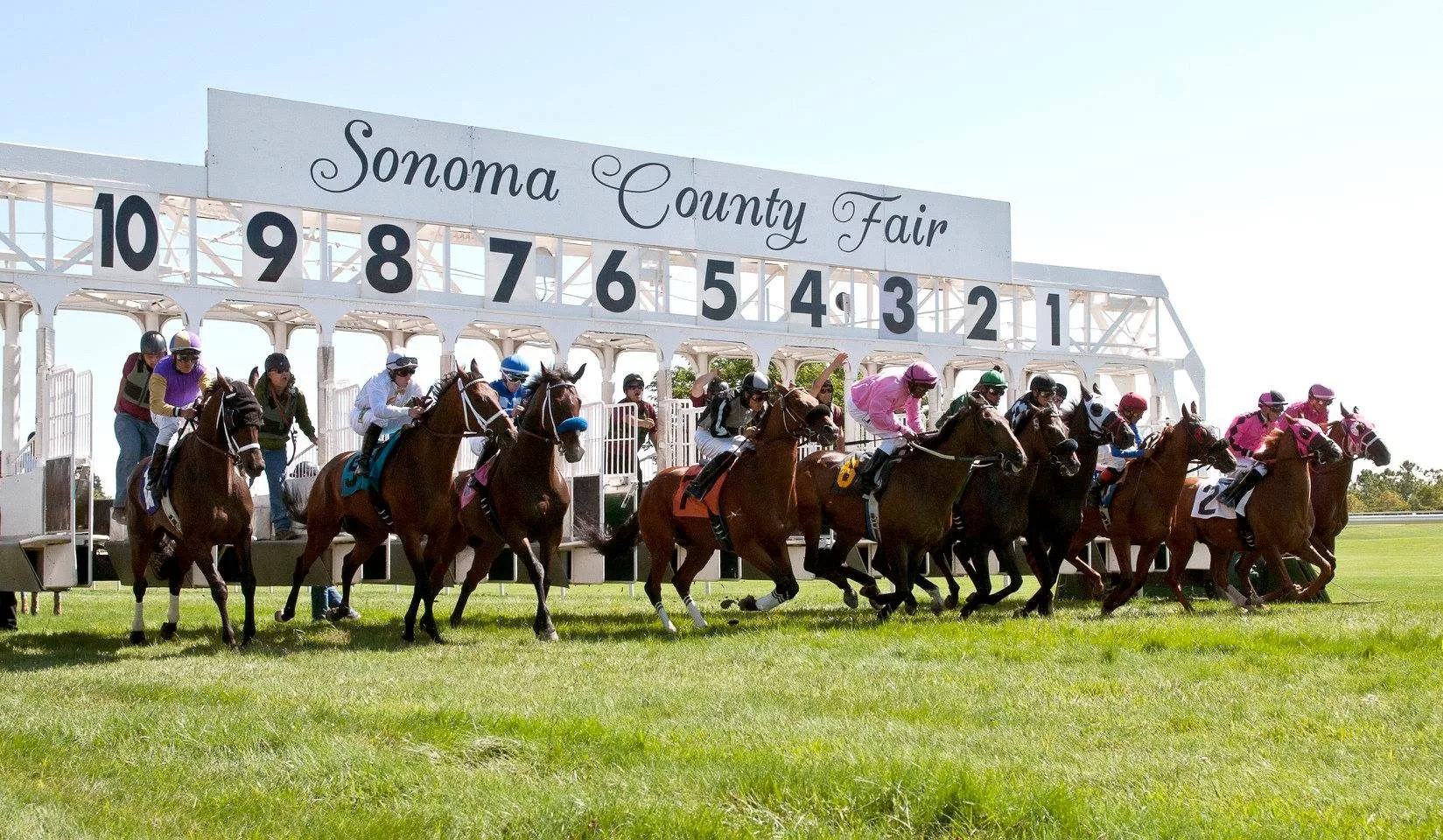 horseracing3