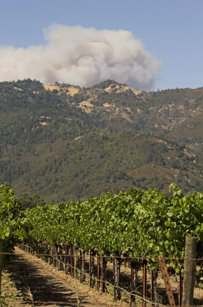 thebuttsfireinpopevalleyovershadowsthevineyards