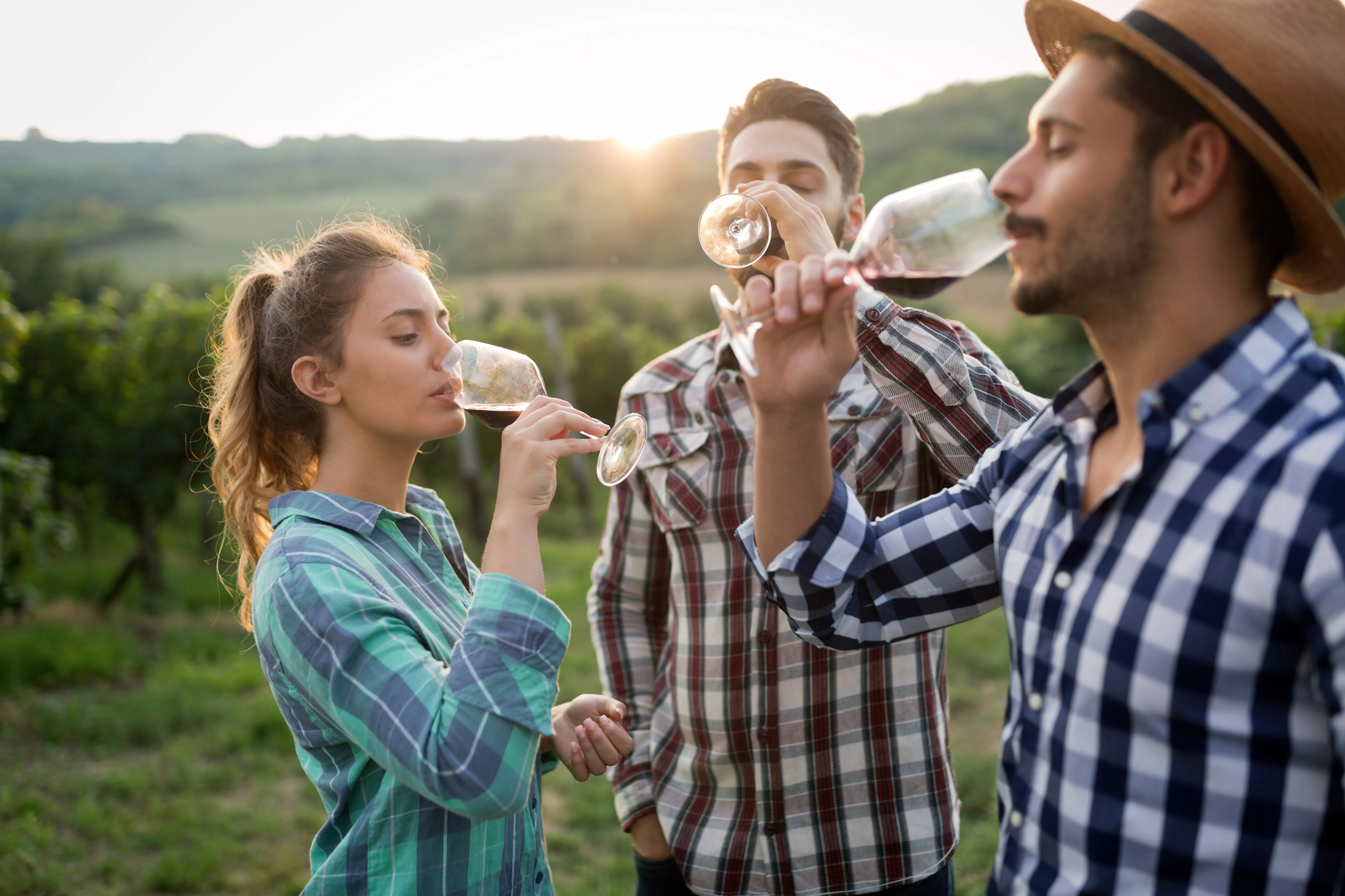 happypeopletastingwineinvineyard