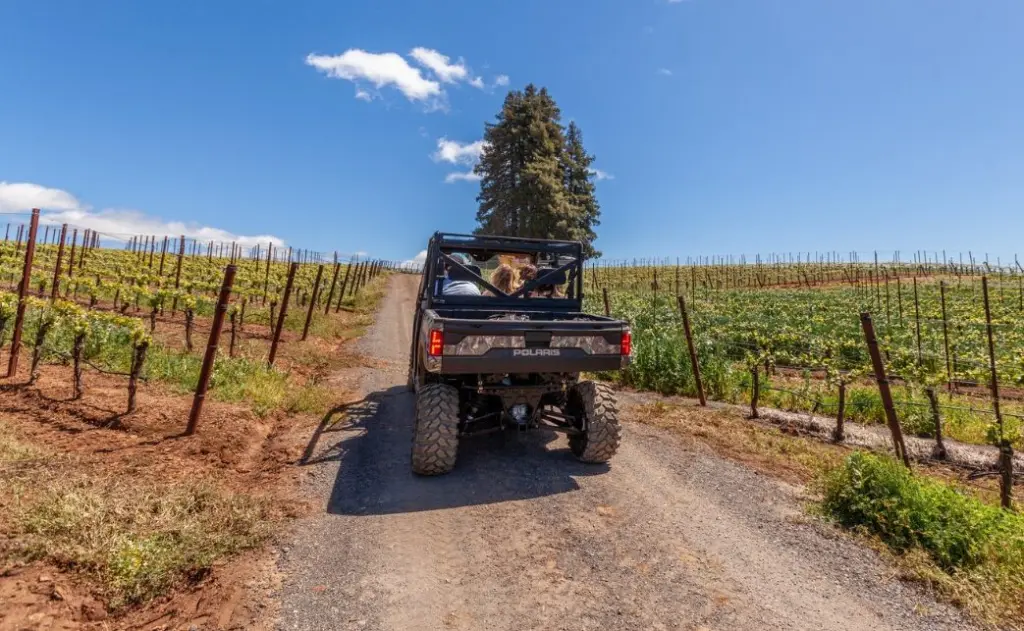 chenoweth_buggy-tour