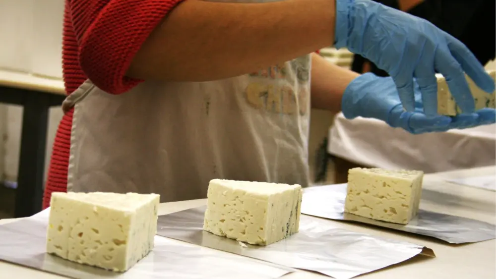 thumbnail_totaleconreport-cheeseprocessing2