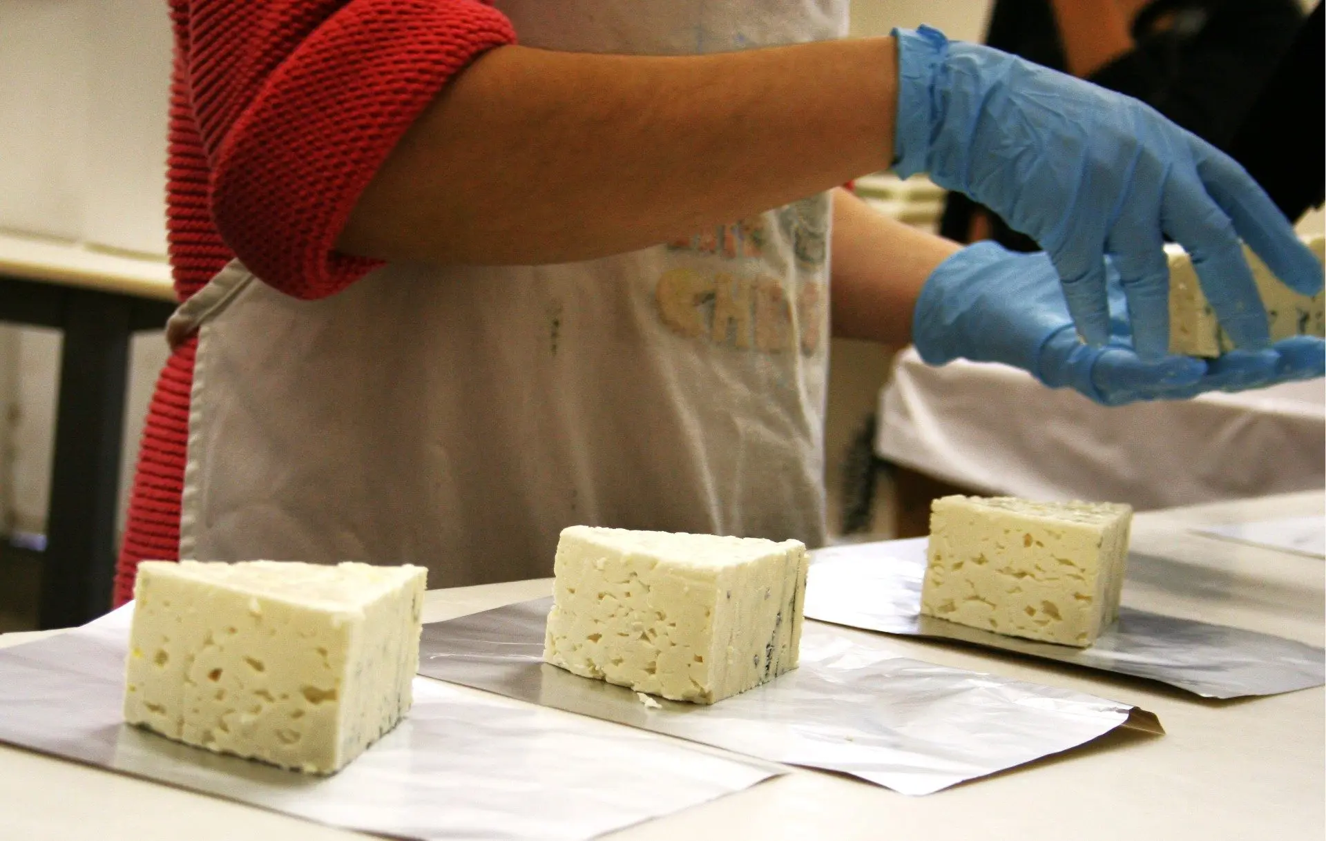 thumbnail_totaleconreport-cheeseprocessing2