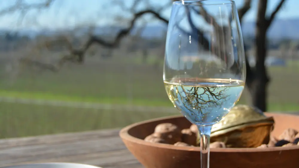 sonomavalleycalifornia