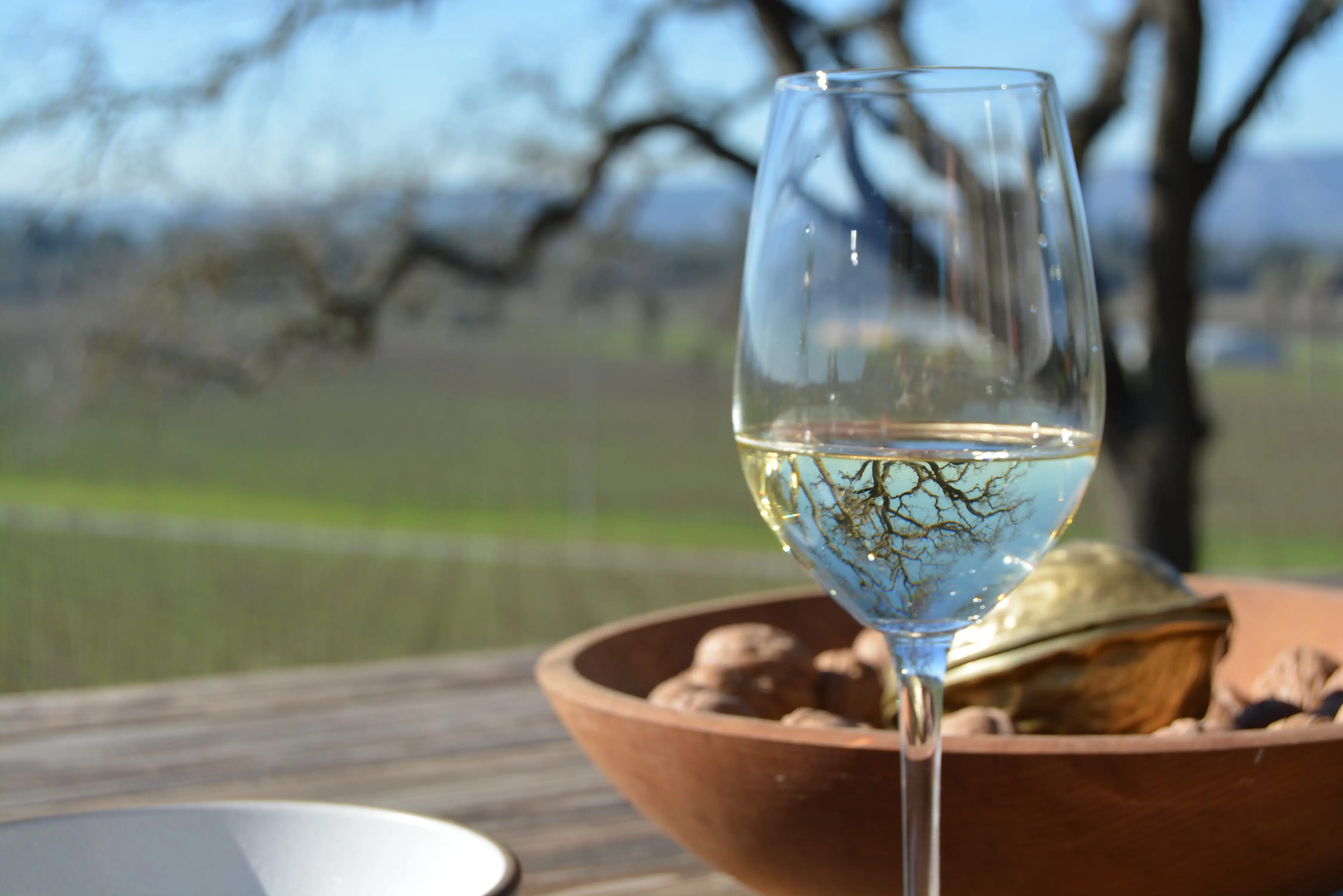 sonomavalleycalifornia