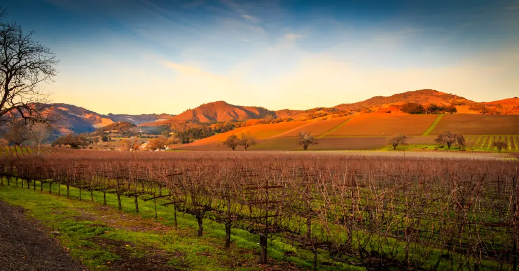 alandscapeviewofsonomavalleyvineyardsatsunsetwith