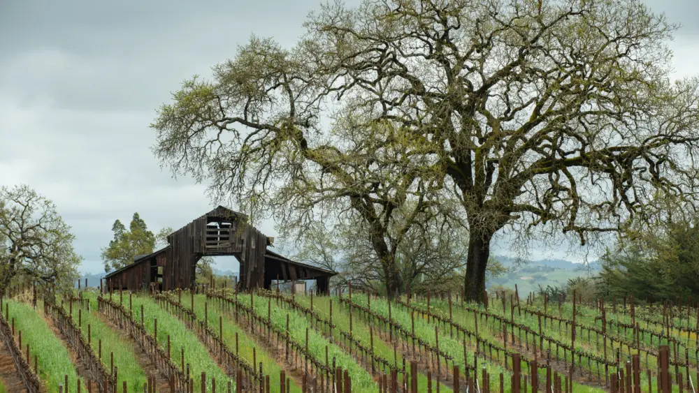 abarnandvinyardinnortherncalifornia