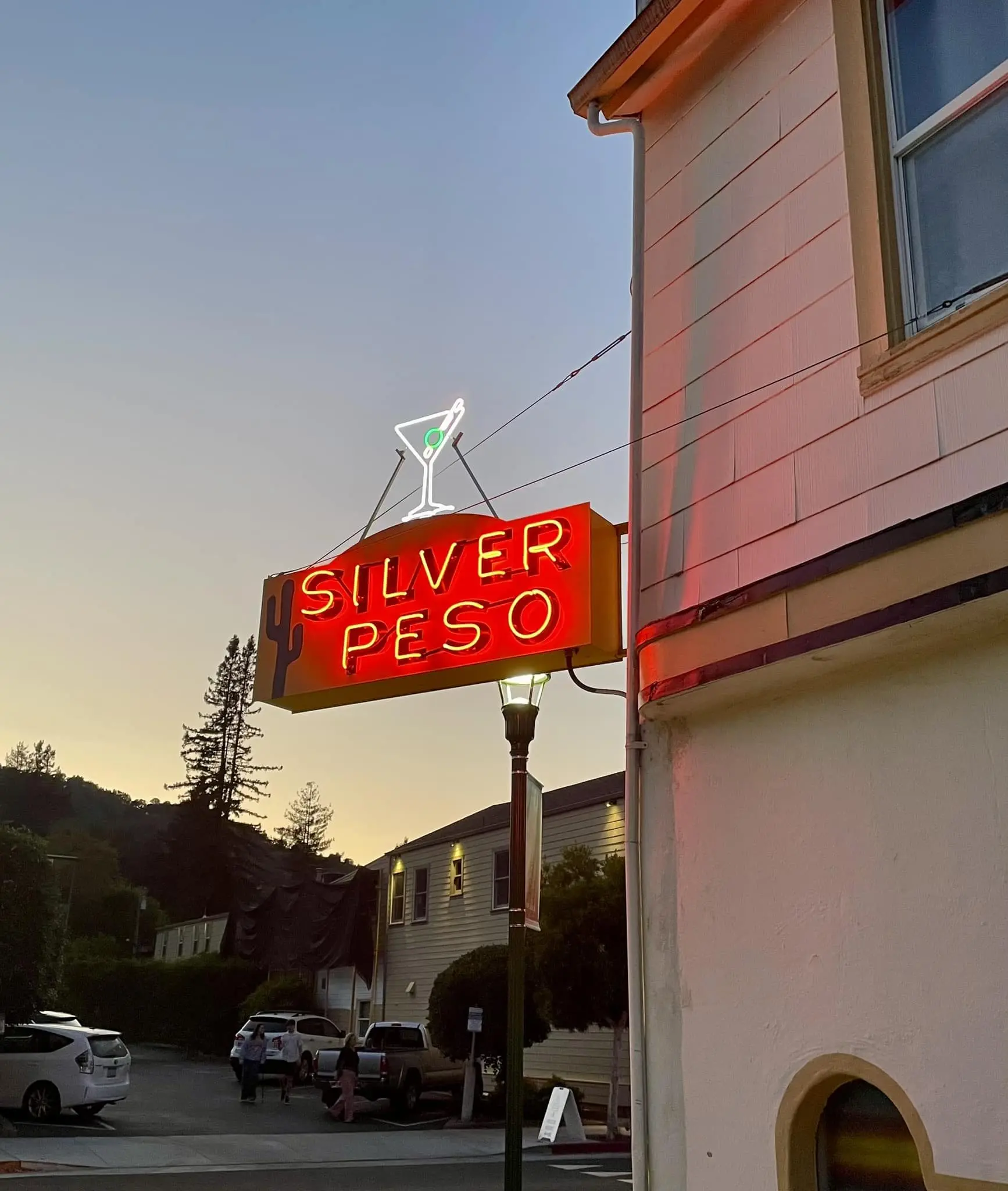 silverpeso_larkspur_onlyinmarin