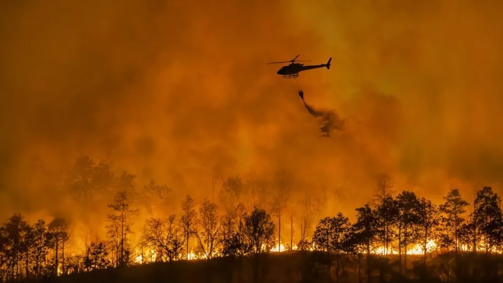 Fire fighting helicopter carry water bucket to extinguish the forest fire.