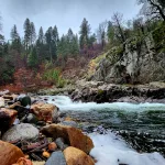 20221210_110229557592