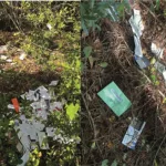 id5748137-discarded-mail-600x400592-1