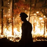 id5756226-new_jersey_forest_fires_24312736701346-600x40080776-1