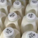 id5684069-raw_milk_salmonella_24192764083199-600x400357878-1